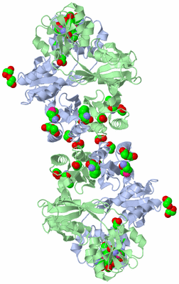 Image Biological Unit 2