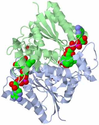 Image Asym./Biol. Unit