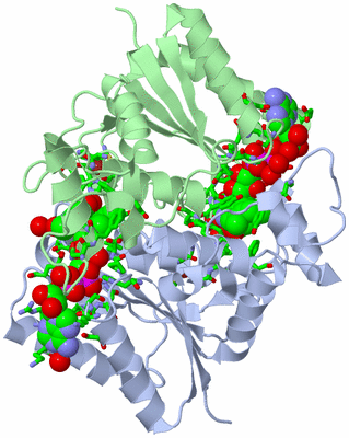 Image Asym./Biol. Unit - sites