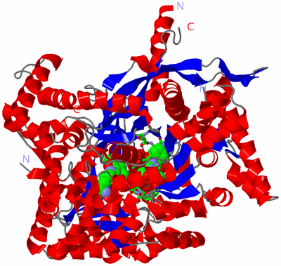 Image Asym. Unit - sites