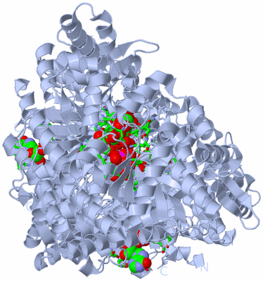 Image Biol. Unit 1 - sites