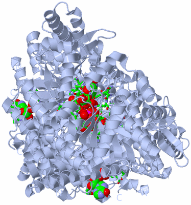 Image Biol. Unit 1 - sites