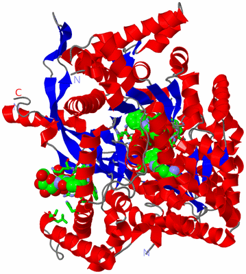 Image Asym. Unit - sites