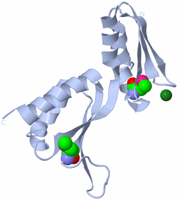 Image Biological Unit 1