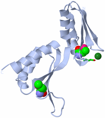 Image Biol. Unit 1 - sites