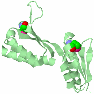 Image Biological Unit 2