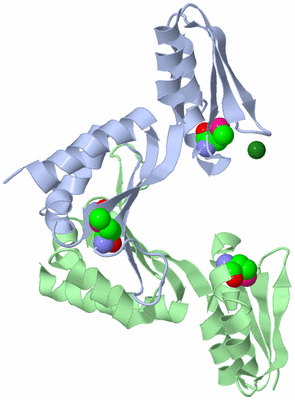 Image Biological Unit 3