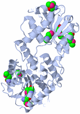 Image Biological Unit 1