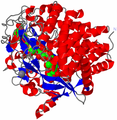 Image Asym./Biol. Unit