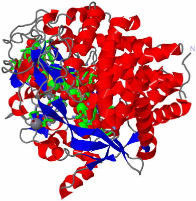 Image Asym./Biol. Unit - sites