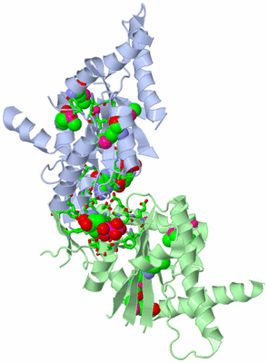 Image Asym./Biol. Unit - sites