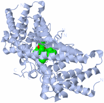 Image Biological Unit 1