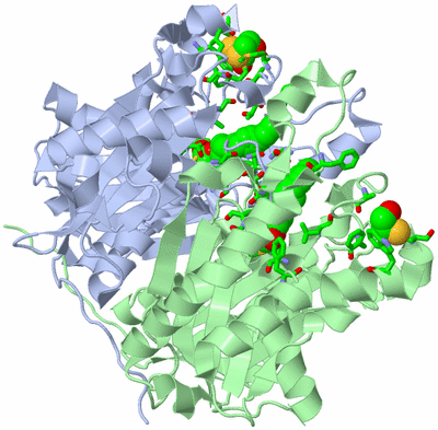 Image Asym./Biol. Unit - sites