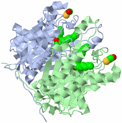 Image Asym./Biol. Unit