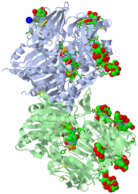 Image Asym./Biol. Unit - sites