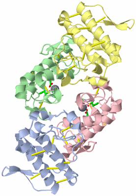 Image Asym./Biol. Unit - sites