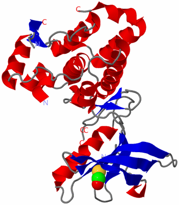 Image Asym./Biol. Unit