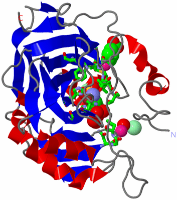 Image Asym./Biol. Unit - sites