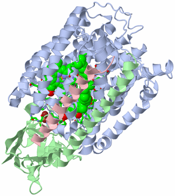 Image Asym./Biol. Unit - sites