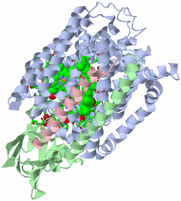 Image Asym./Biol. Unit - sites