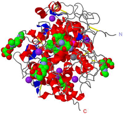 Image Asym./Biol. Unit