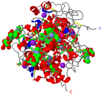 Image Asym./Biol. Unit - sites