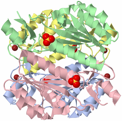 Image Asym./Biol. Unit