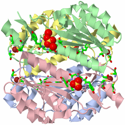 Image Asym./Biol. Unit - sites