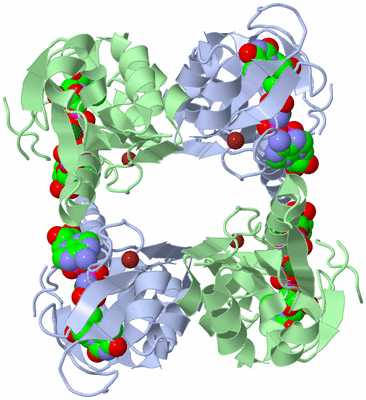 Image Biological Unit 1