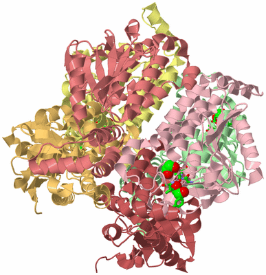 Image Biol. Unit 1 - sites