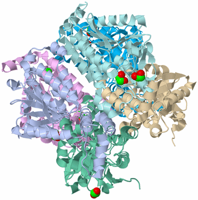 Image Biological Unit 2