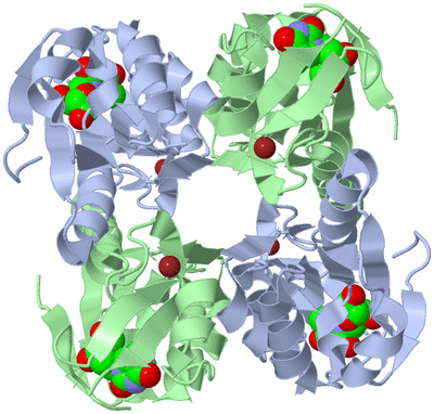 Image Biological Unit 1