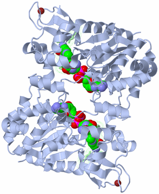 Image Biological Unit 2