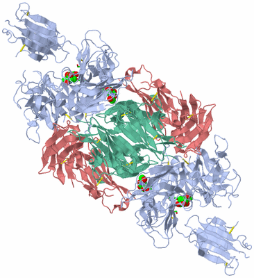 Image Biol. Unit 1 - sites