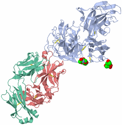 Image Biological Unit 2