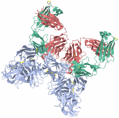 Image Biological Unit 1