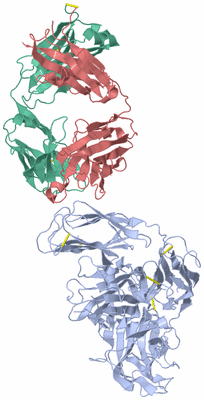 Image Biological Unit 2