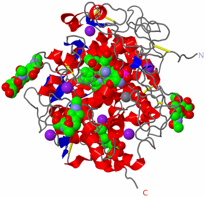 Image Asym./Biol. Unit