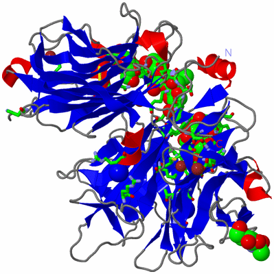 Image Asym./Biol. Unit - sites