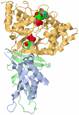 Image Biological Unit 1