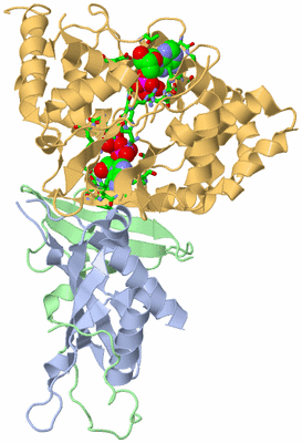 Image Biol. Unit 1 - sites