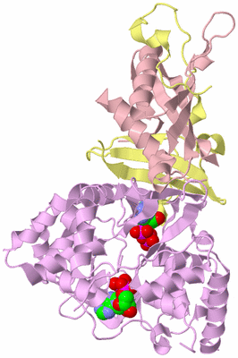 Image Biological Unit 2