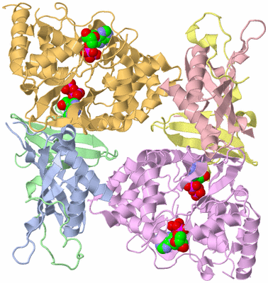 Image Biological Unit 3