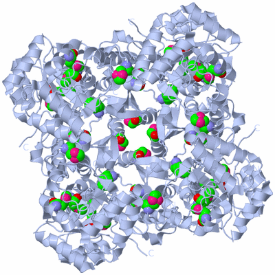 Image Biological Unit 1