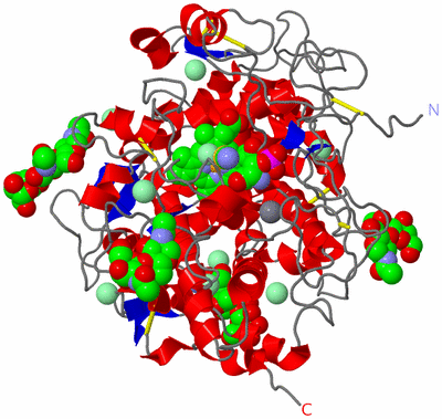 Image Asym./Biol. Unit