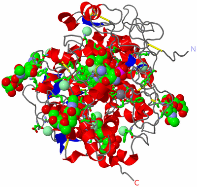 Image Asym./Biol. Unit - sites