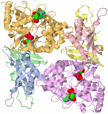 Image Biological Unit 3