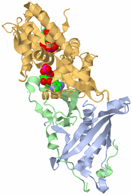 Image Biological Unit 1