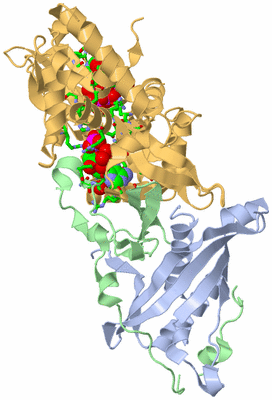 Image Biol. Unit 1 - sites