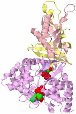 Image Biological Unit 2